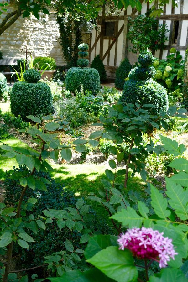Le Jardin De La Cathedrale Bed & Breakfast Troyes Eksteriør bilde